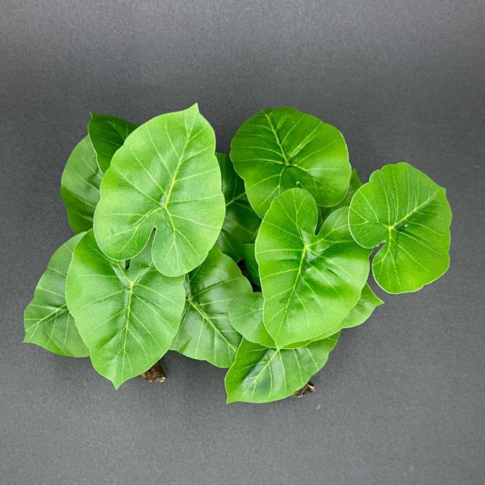 Smoothedo-Pets green-type-a set decor for compact aquariums and reptiles.