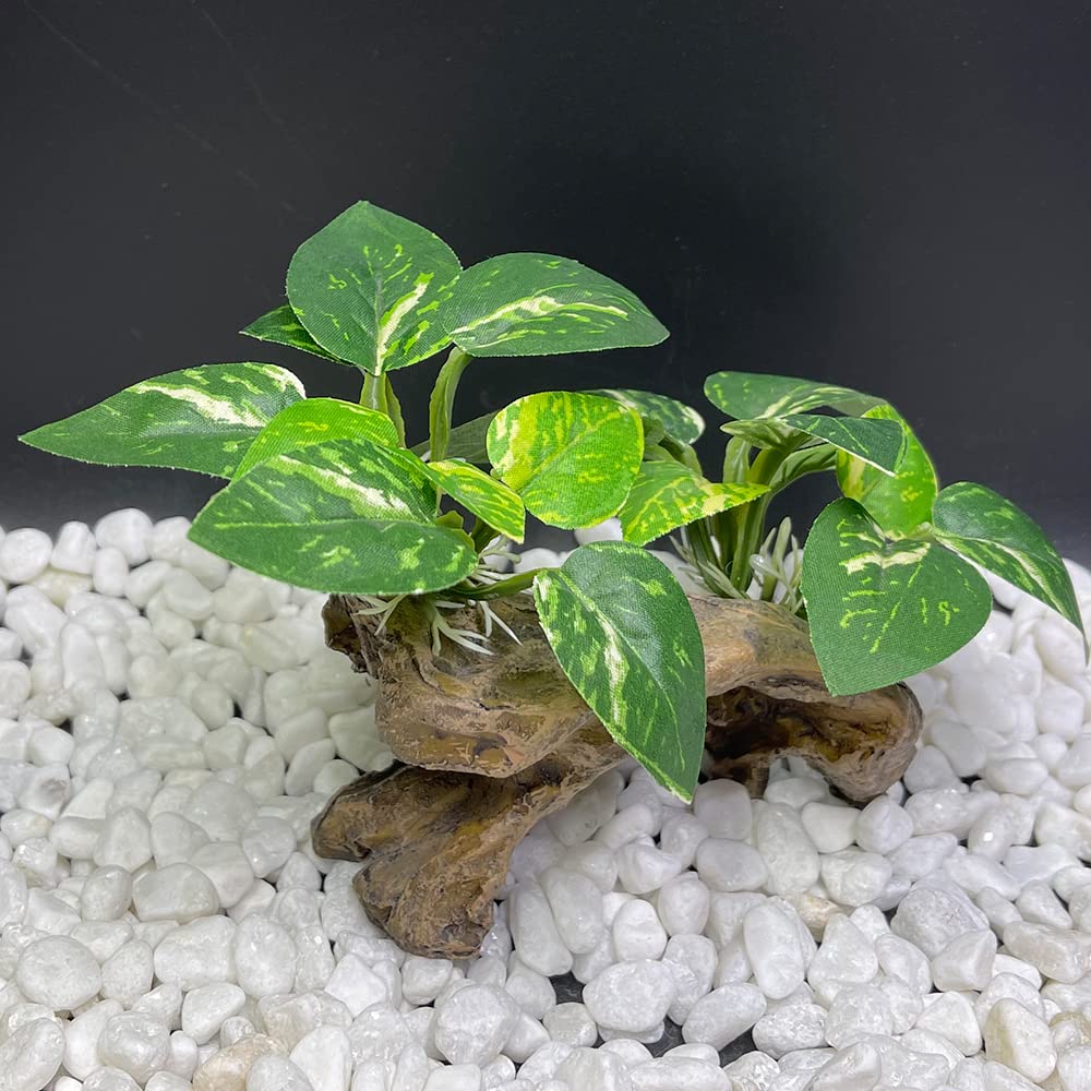 Smoothedo-Pets aquarium decorations pack enables versatile tank layouts.