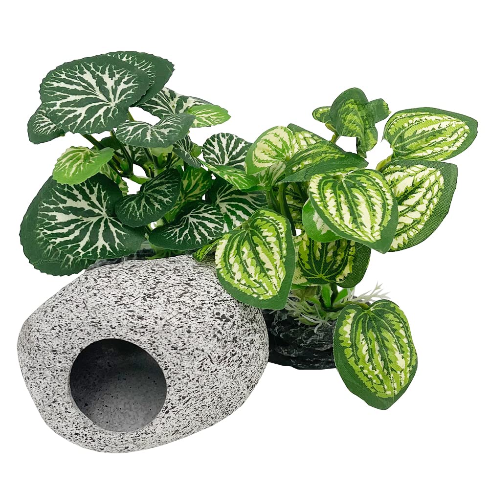 Smoothedo-Pets 4in silk plants two-pack enhance betta tank visuals and hiding spots