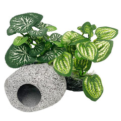 Smoothedo-Pets 4in silk plants two-pack enhance betta tank visuals and hiding spots