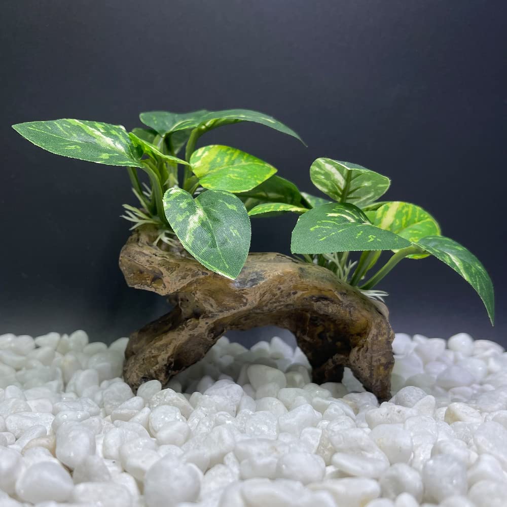 Smoothedo-Pets colorful artificial water plants brighten tanks and hides.
