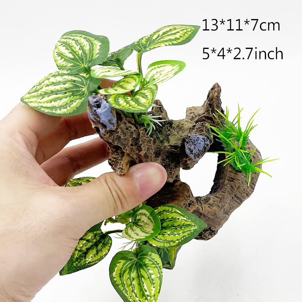 Smoothedo-Pets Betta cave decoration side view shows a natural hideaway for exploration and rest