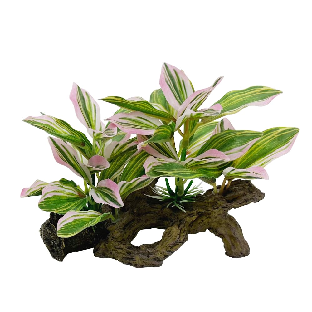Smoothedo-Pets Betta pink leaf pad hammock offers a comfy resting spot.