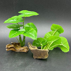 Smoothedo-Pets artificial driftwood green type-a adds realistic tank scenery.