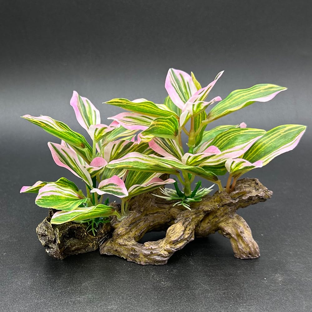 Smoothedo-Pets durable aquarium decor withstands regular tank maintenance.