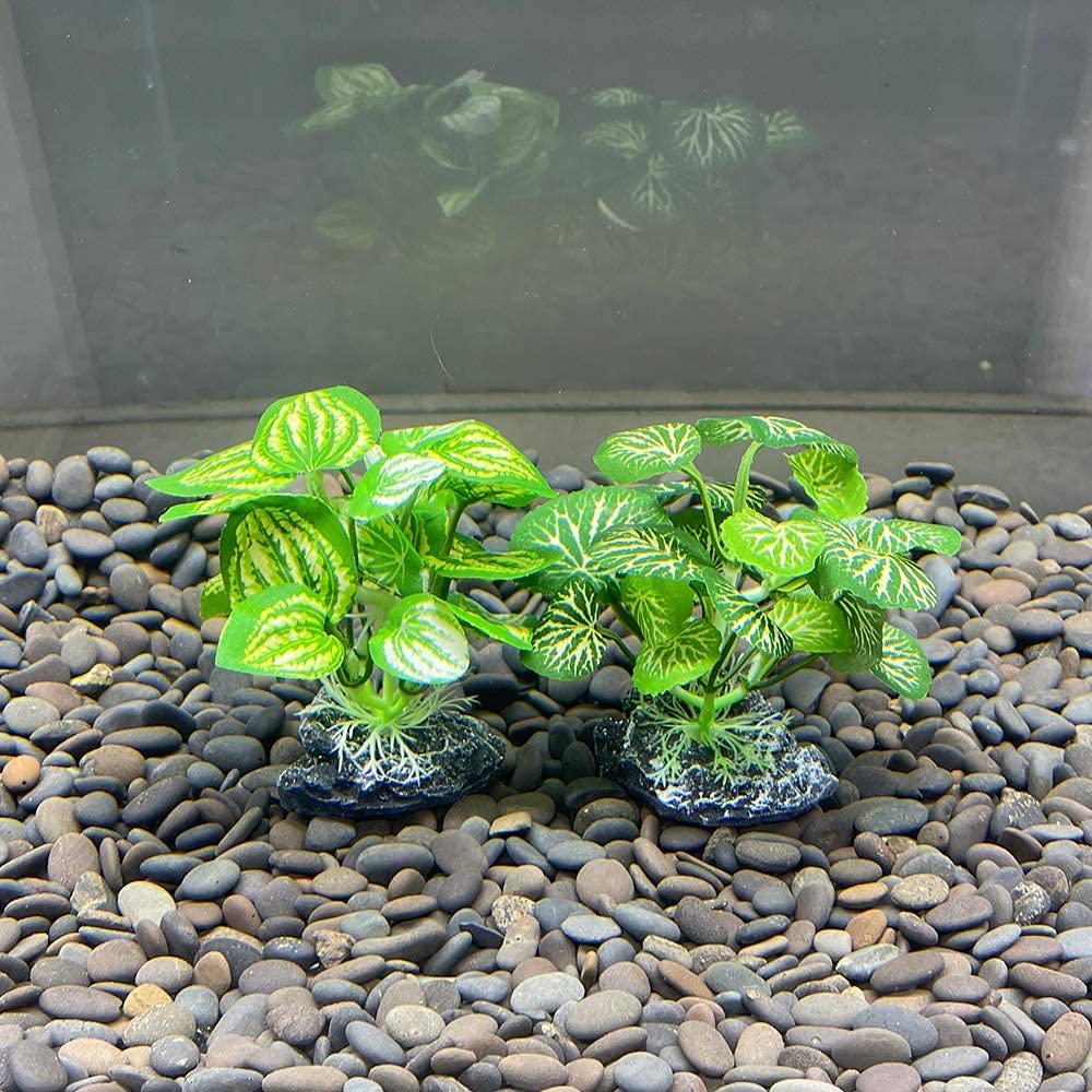 Smoothedo-Pets reptile-tank decor in green silk plants enhances enrichment and visual appeal.