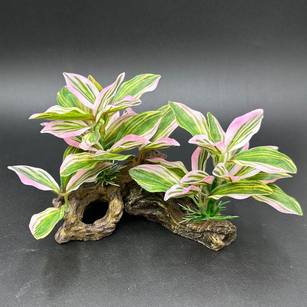 Smoothedo-Pets pink-themed setup aids easy stylish aquarium arrangement.