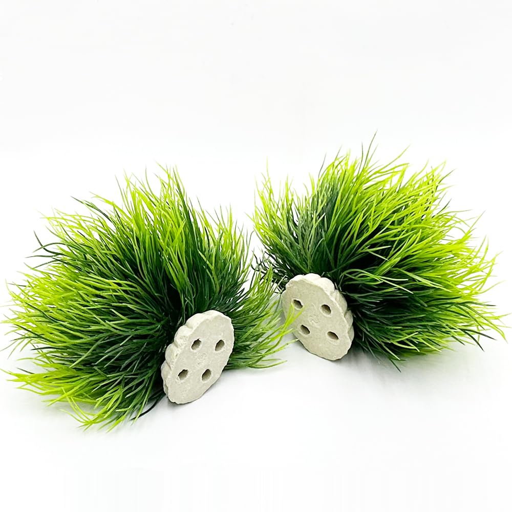 Smoothedo-Pets odor-free after washing ready-to-install tank decorations