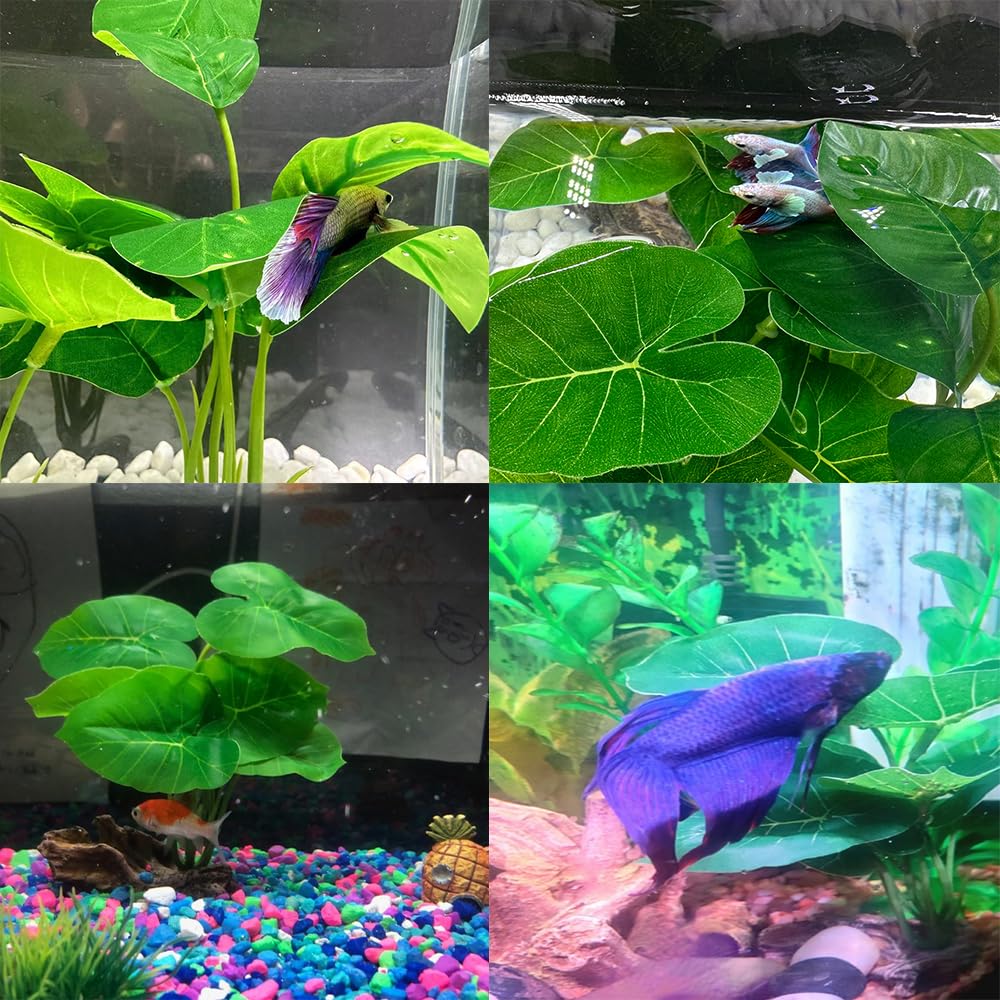 Smoothedo-Pets green tank scene decor enhances aquarium aesthetics.