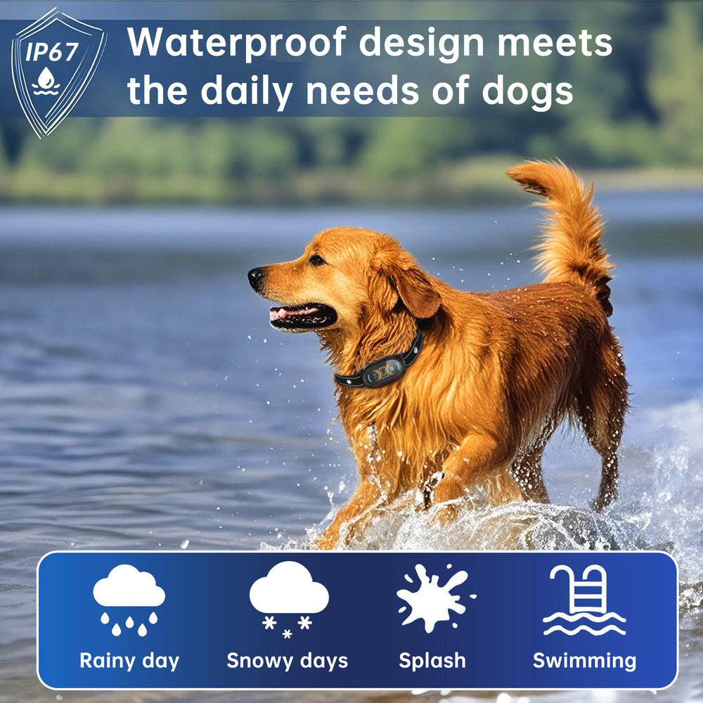 Smoothway bark collar IP67 waterproof design ready for rainy walks and outdoor training.