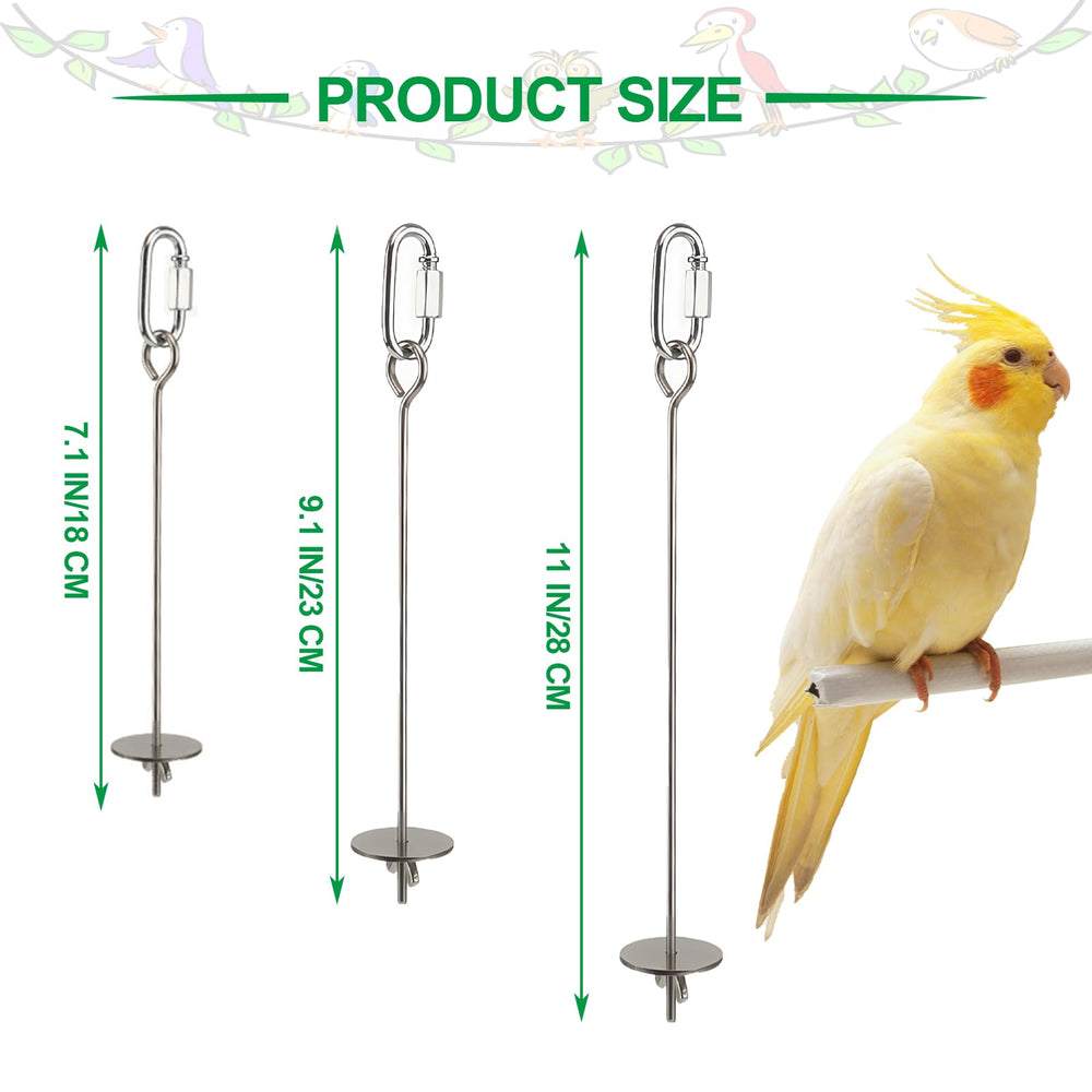 Smrtcol stainless steel parrot skewer hanging demonstrates rust-resistant, pet-safe feeding