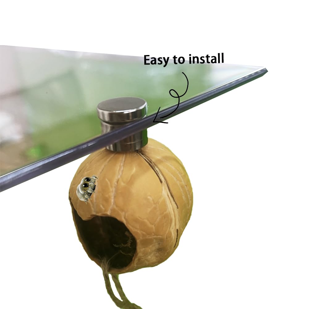 SMSUX Jumping Spider Hide accessories included simplify setup and viewing.