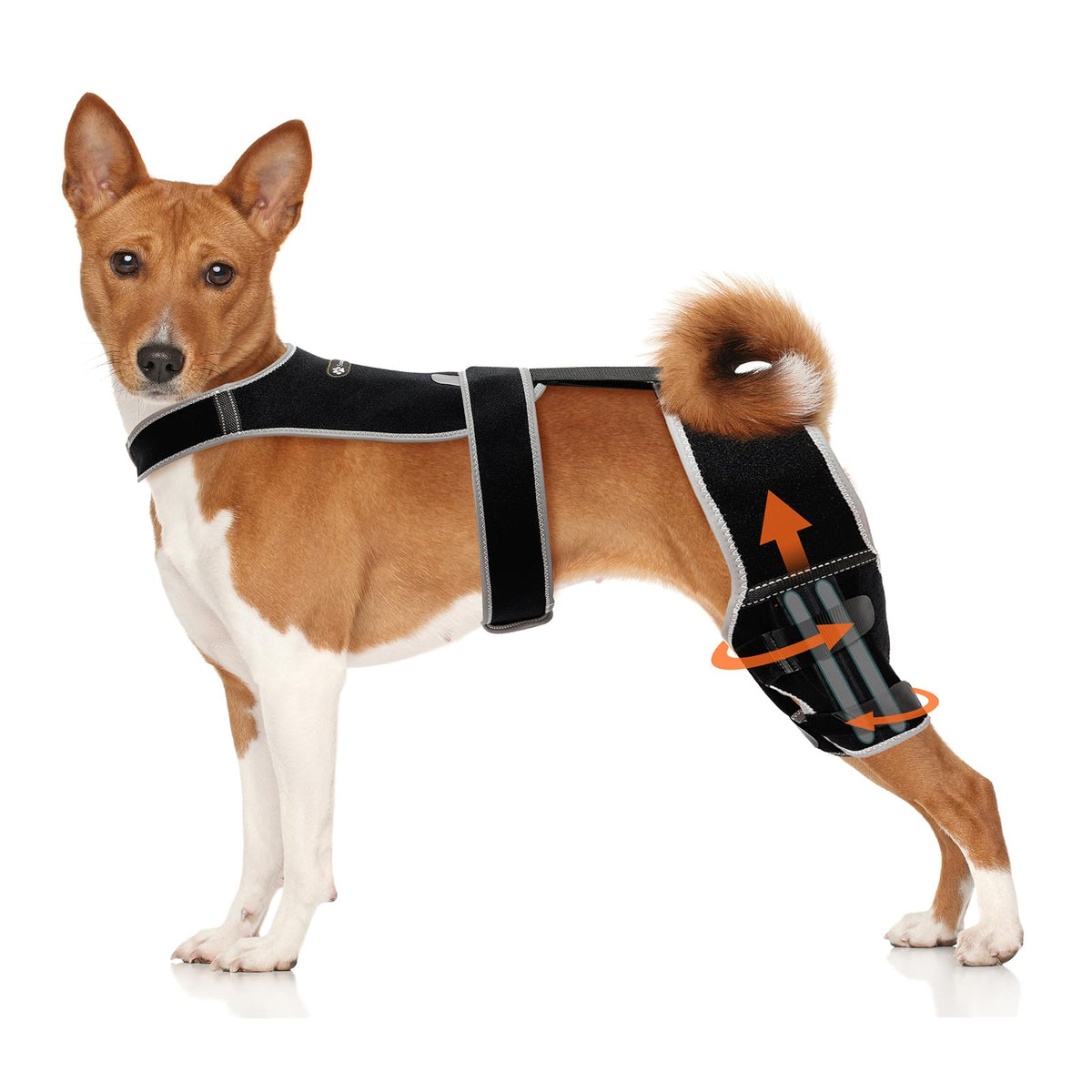 Snagle Paw vest-design knee brace on a dog's hind leg for secure daily support.