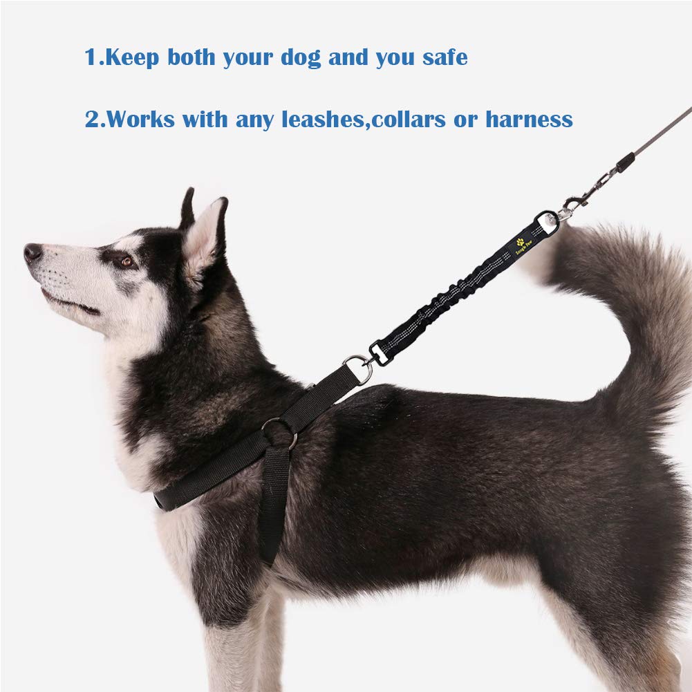 Snagle Paw bungee leash extension features 360 swivel clip to prevent tangling during runs