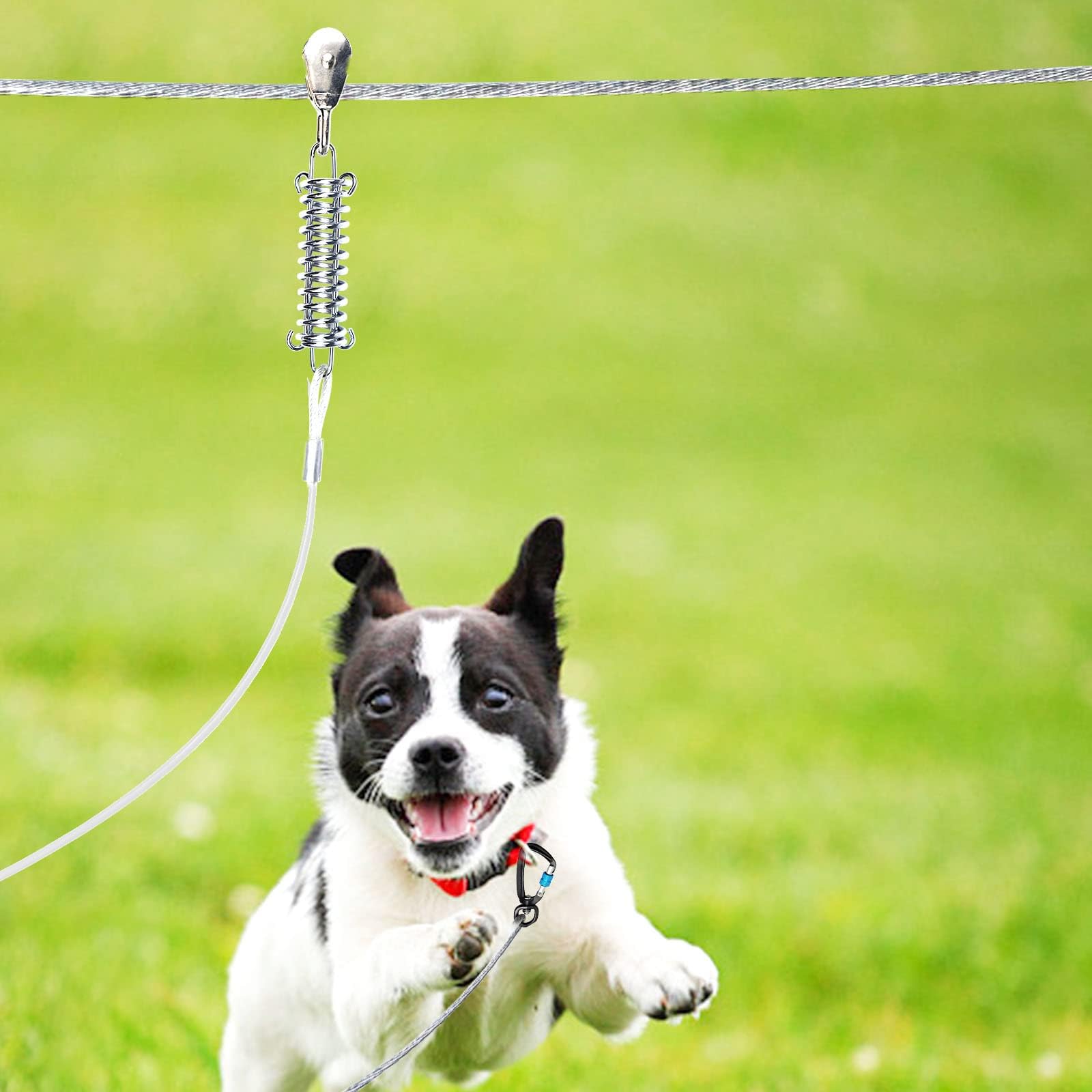 Snagle Paw dog camping backyard use demonstrates versatile outdoor enjoyment.