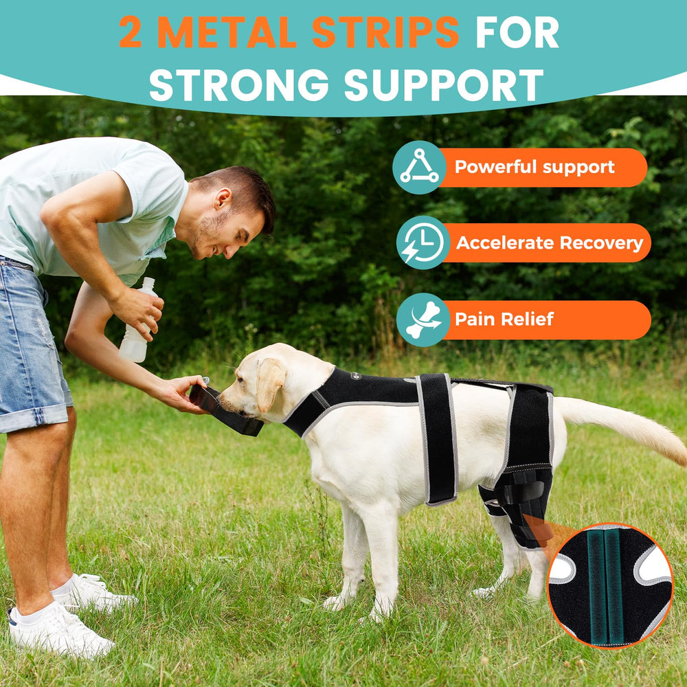 Snagle Paw brace showing four metal stabilizers offering steady hind-leg protection.