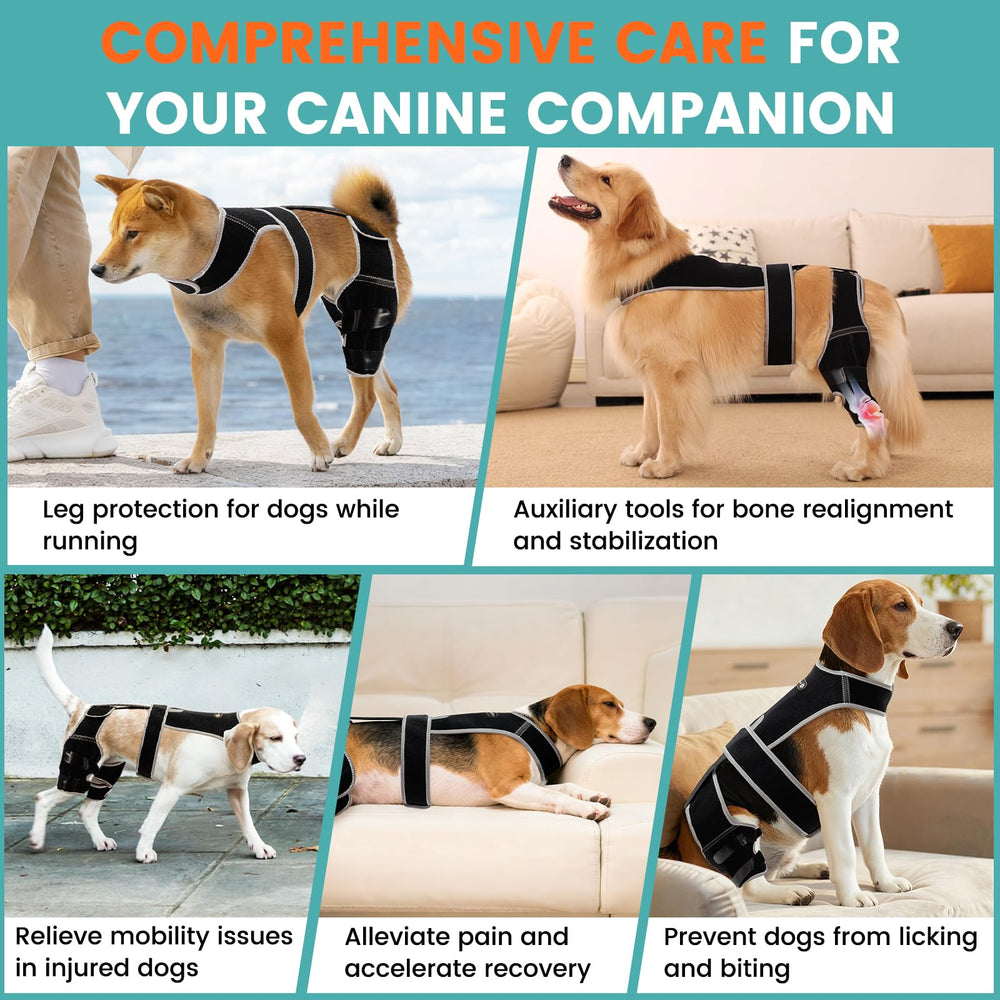 Snagle Paw includes visual instructions and video guide for confident use.