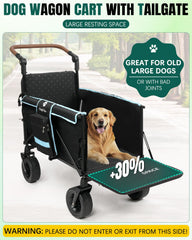 Snagle Paw stroller ramp close-up demonstrating easy-access non-slip surface for senior or injured dogs