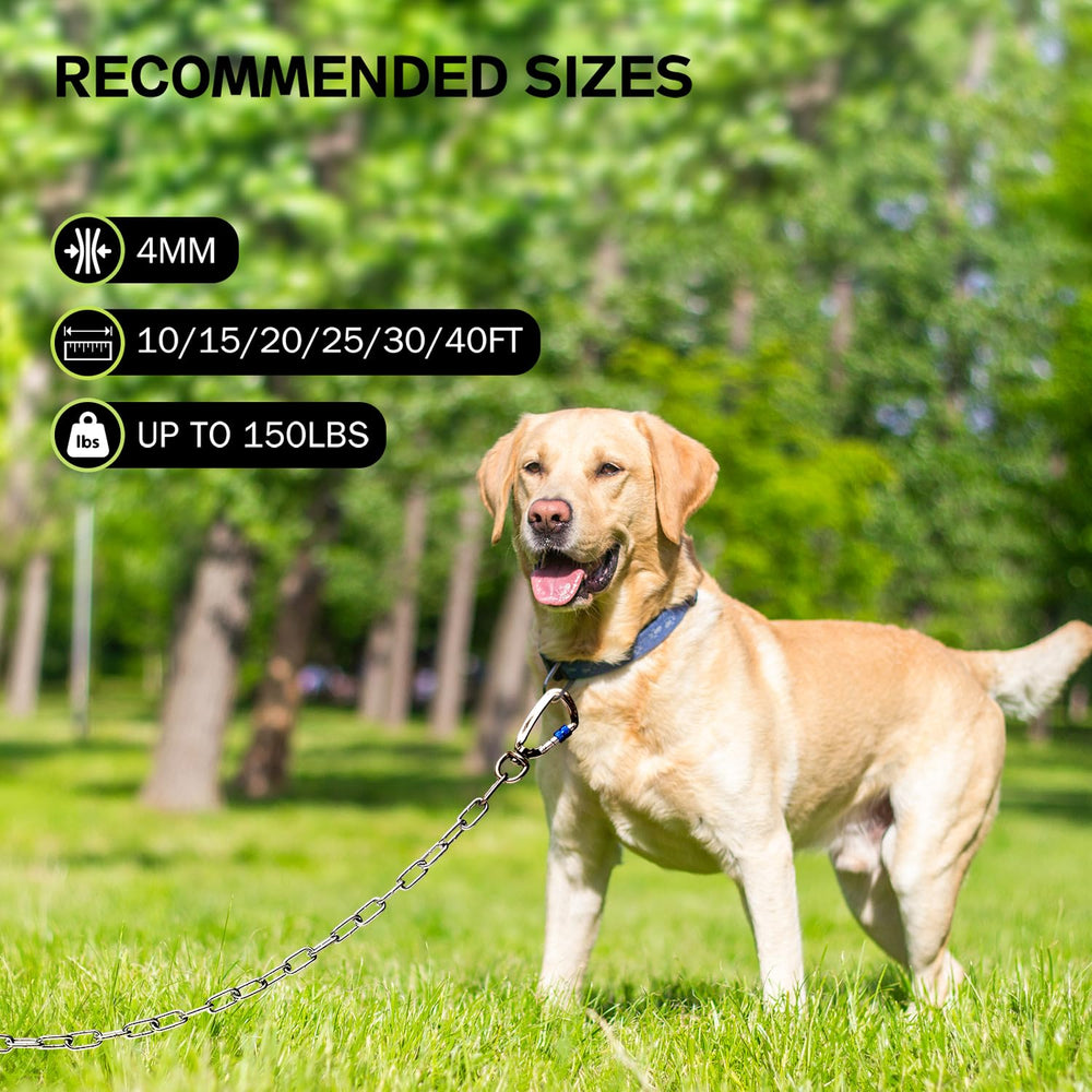 Snagle Paw heavy-duty dog chain leash 10ft length shown outdoors for room to roam.