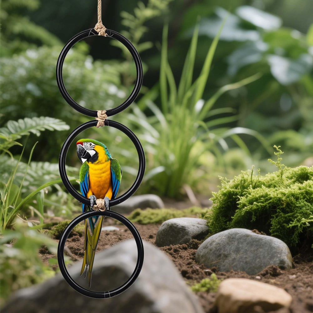 Snake climbing rings can be freely assembled and hung for flexible setups.