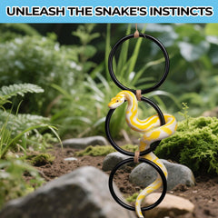 Snake climbing rings installed horizontally in tank provide safe exercise.