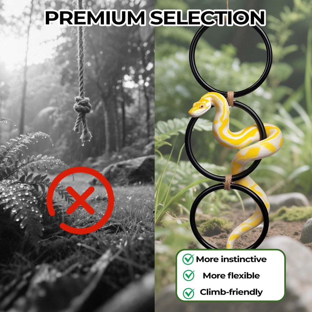 Snake climbing rings offer multi-functional enrichment like basking and hiding.