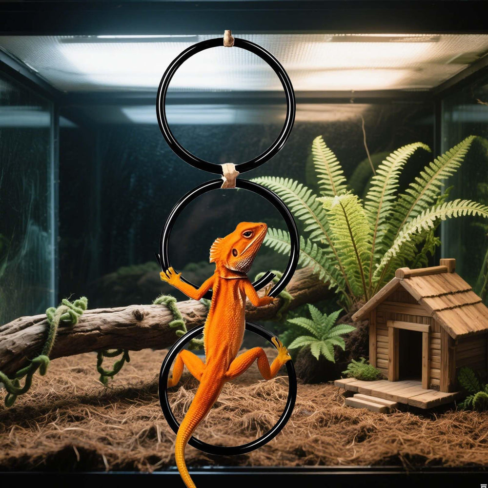 Snake climbing rings two-pack set includes three rings per set.