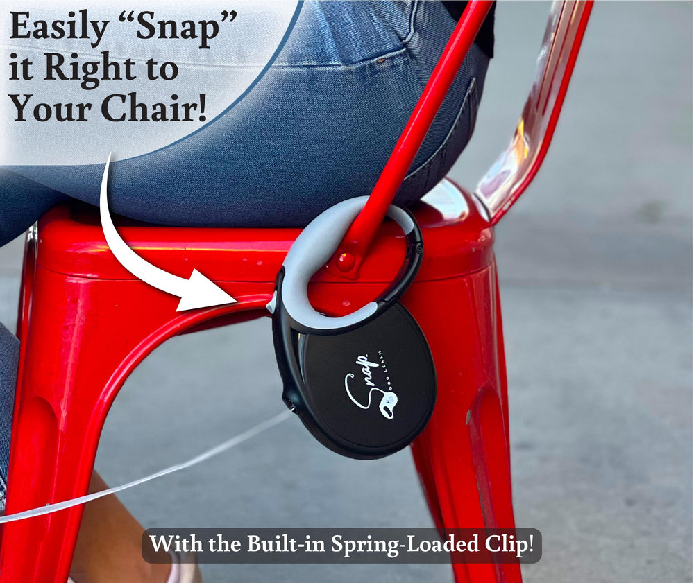 Snap Dog Leash brake and lock mechanism in use for control
