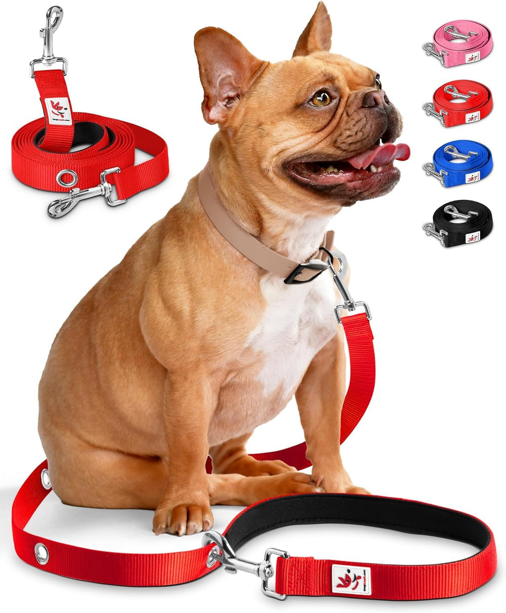 SnapLeash hands-free leash in use for multitasking during walks.