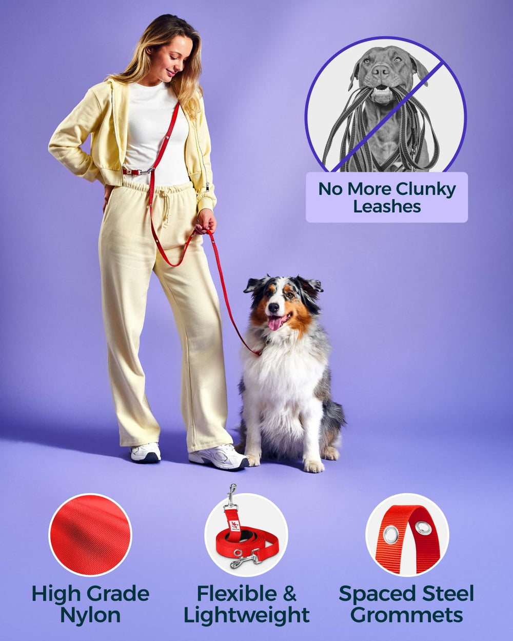 SnapLeash two-pet walking setup enables coordinated, balanced strolls.