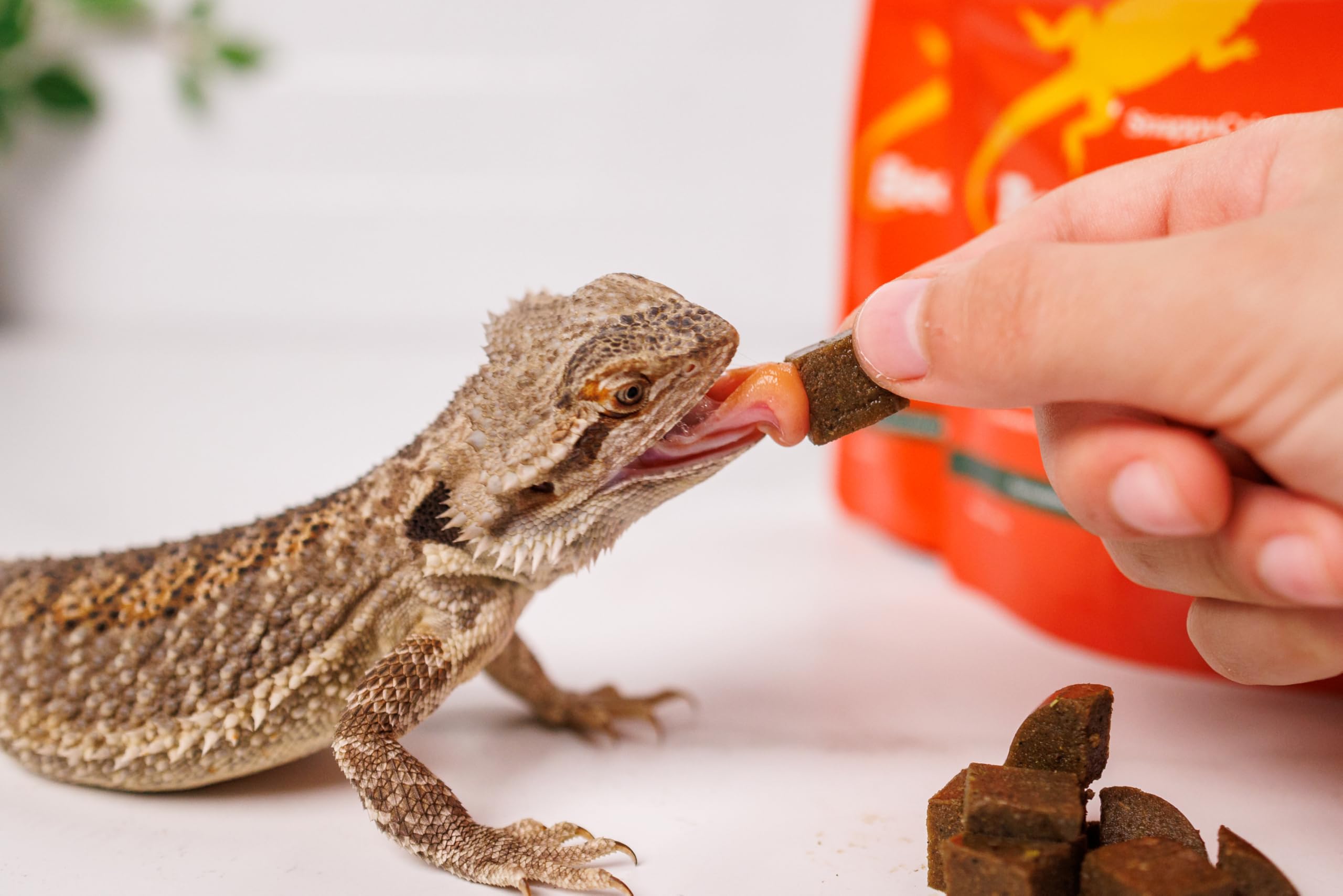 Apoyo al sistema inmune con formulación avanzada de SnappyCritters