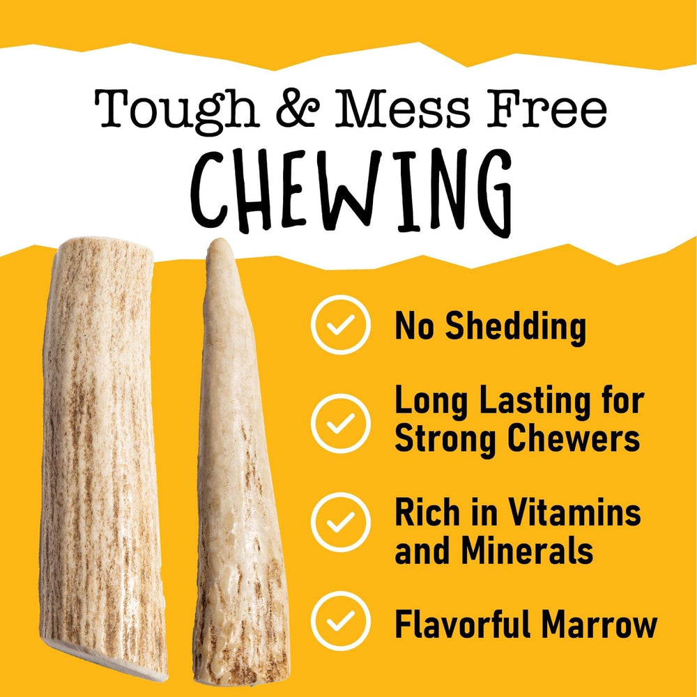 Snatchers elk antlers for dogs, ideal for strong chewers and play.
