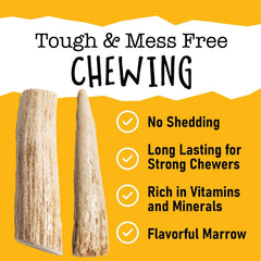 Snatchers elk antlers for dogs, ideal for strong chewers and play.
