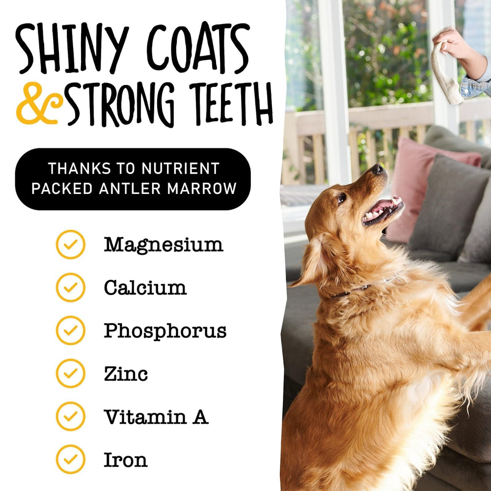 Snatchers elk antlers long lasting chew with no additives.