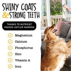 Snatchers elk antlers long lasting chew with no additives.