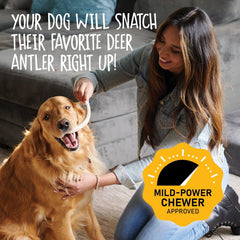 Snatchers elk antlers processed in USA highlight clean sourcing.