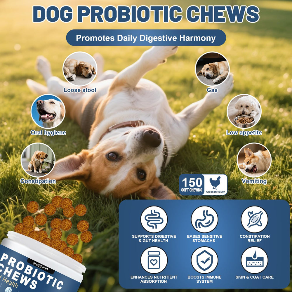 SnazFirst dog probiotics chews chicken soft treat provides a palatable feeding option.