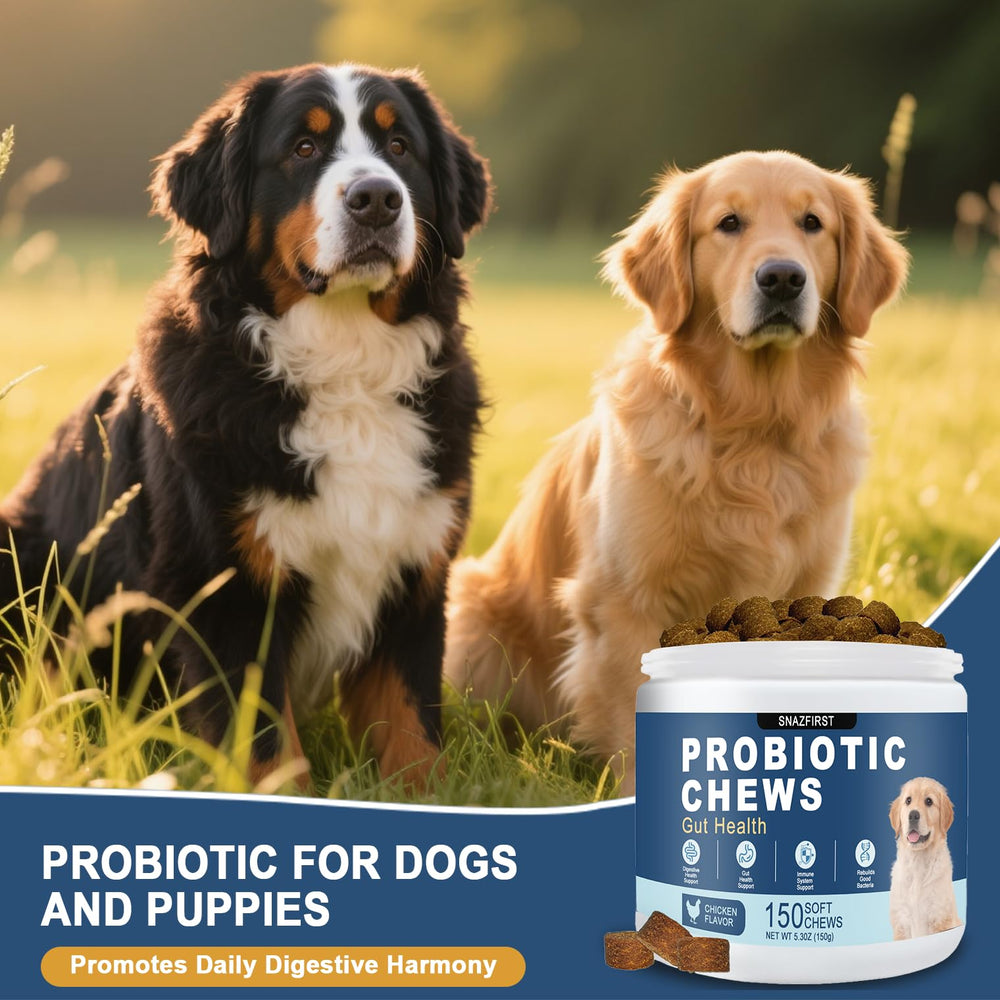 SnazFirst dog probiotics chews daily use supports routine-friendly supplement for pets.