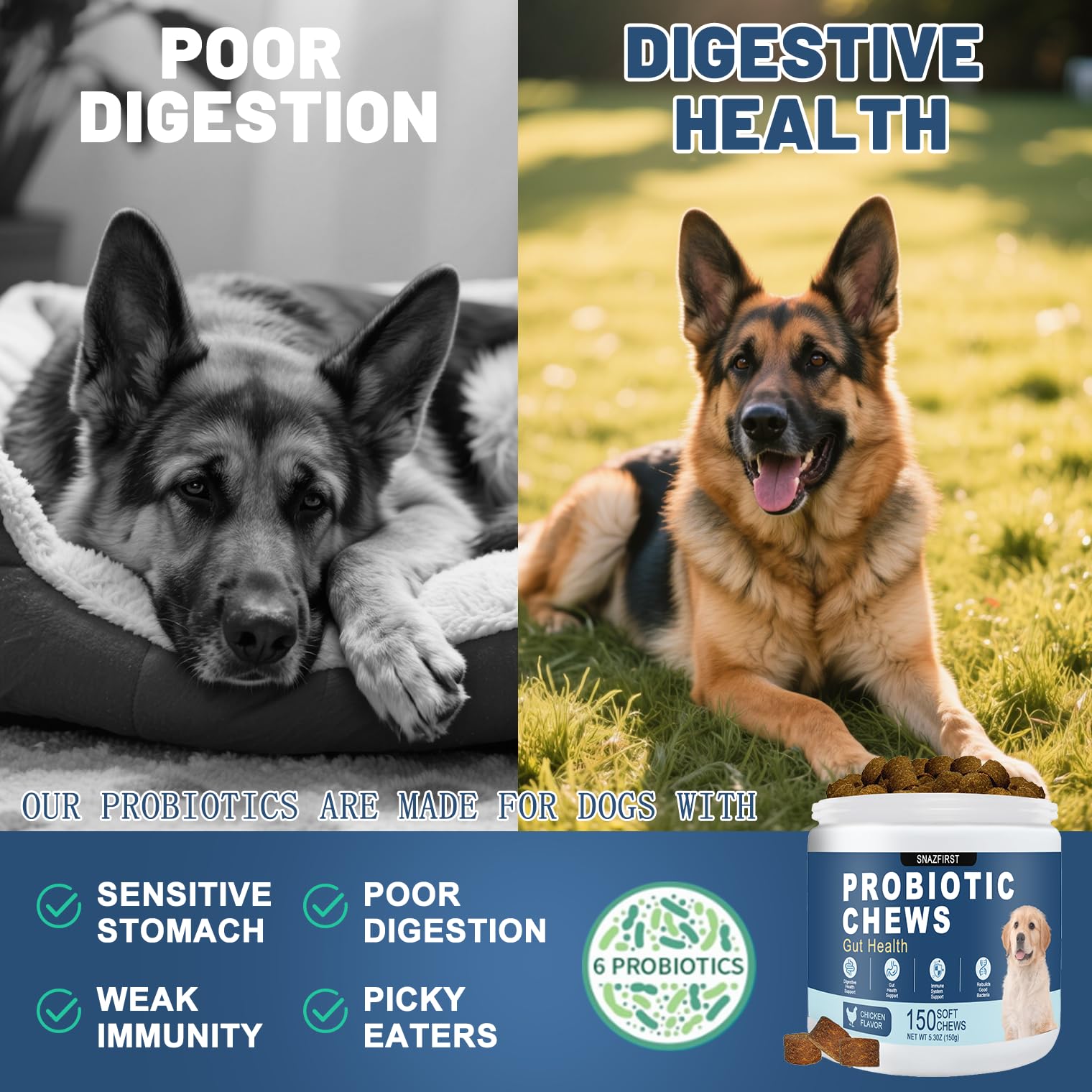 SnazFirst dog probiotics chews dog eating shows tasty, stress-free administration.