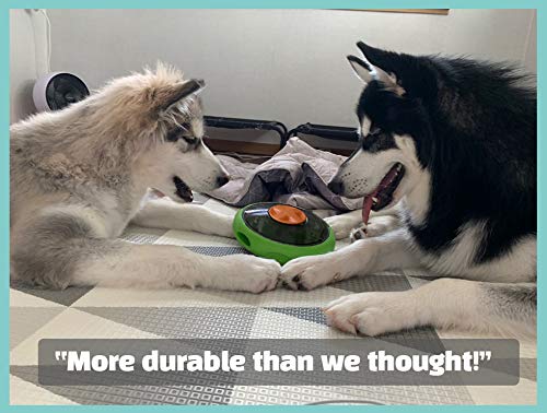 Sniffiz SmellyUFO movements show unpredictable play that keeps dogs curious.