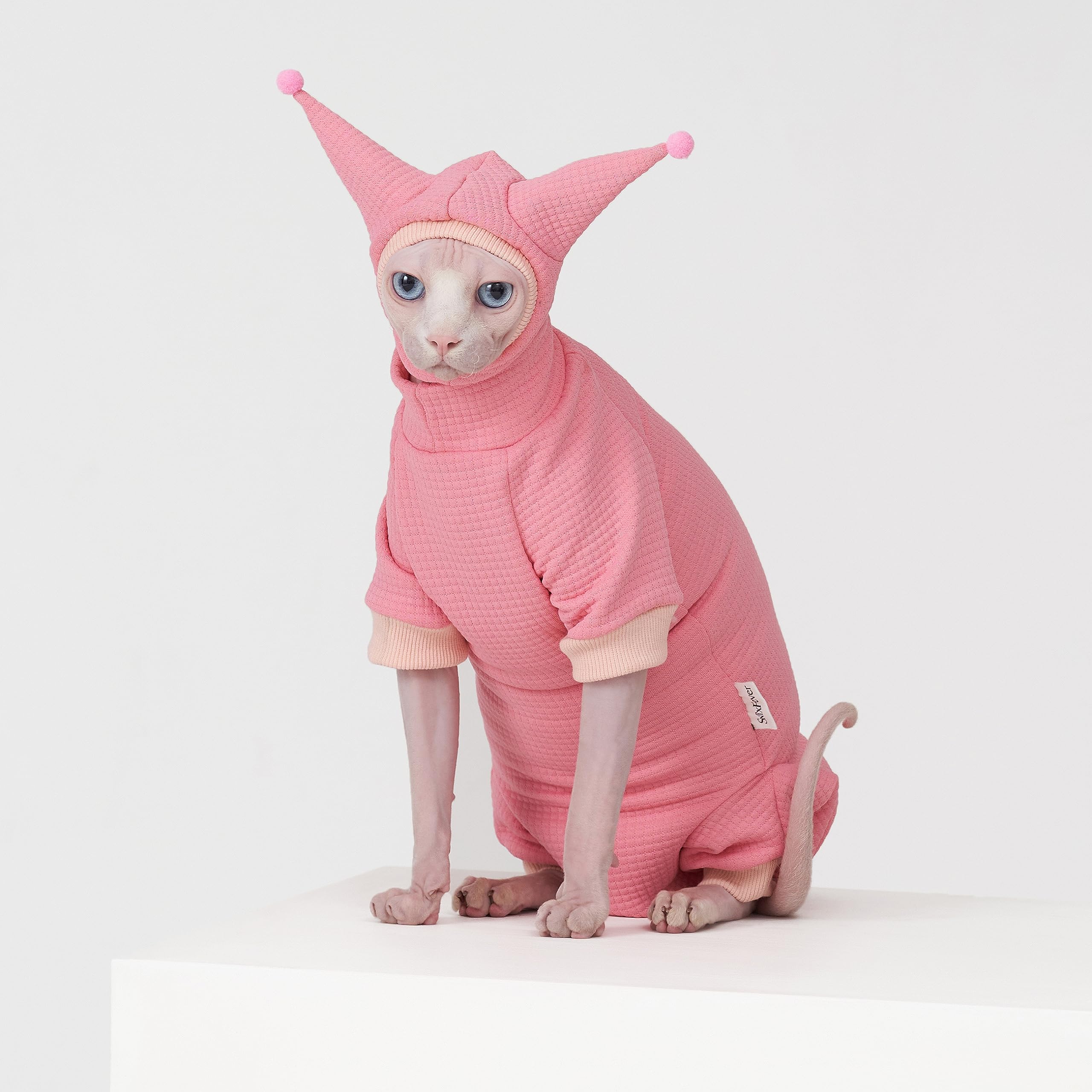 SNIXFEVER sphynx model wearing outfit demonstrates stylish, comfortable pet fashion