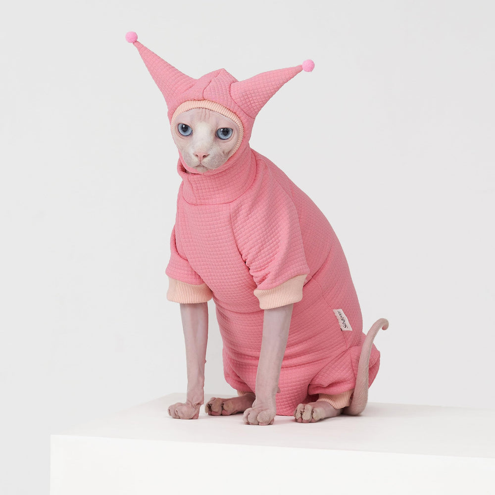 SNIXFEVER sphynx model wearing outfit demonstrates stylish, comfortable pet fashion