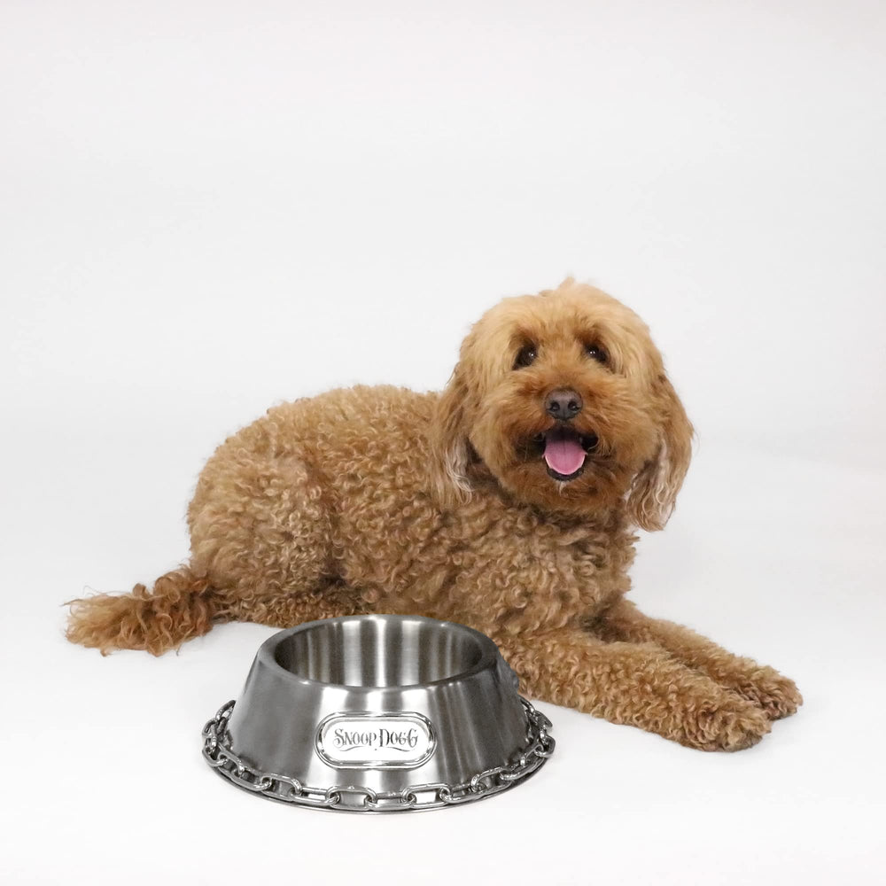 Snoop Doggie Doggs detailed logo plate adds premium branding to every meal.