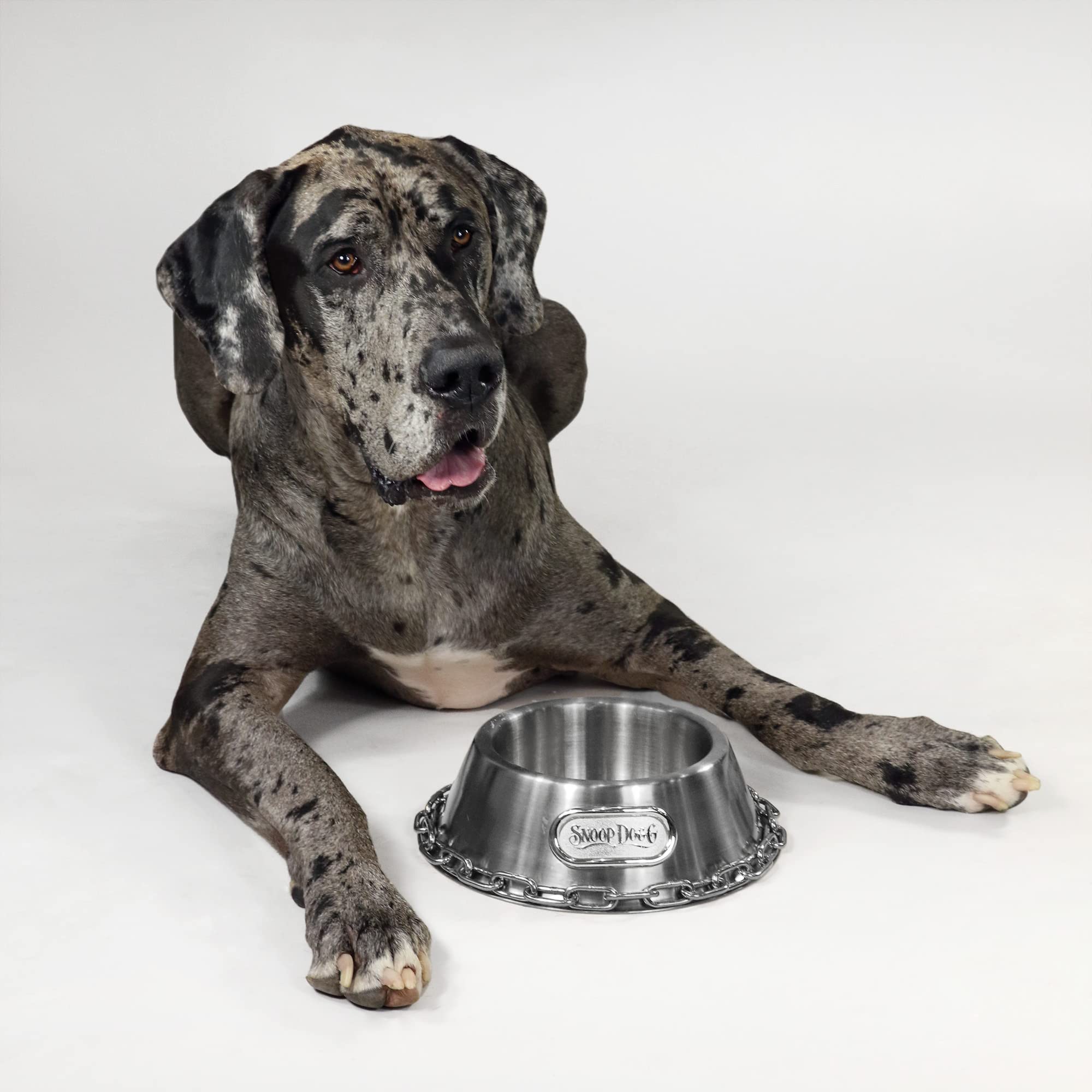 Snoop Doggie Doggs bowl used for kibble to treats shows versatile pet dining.