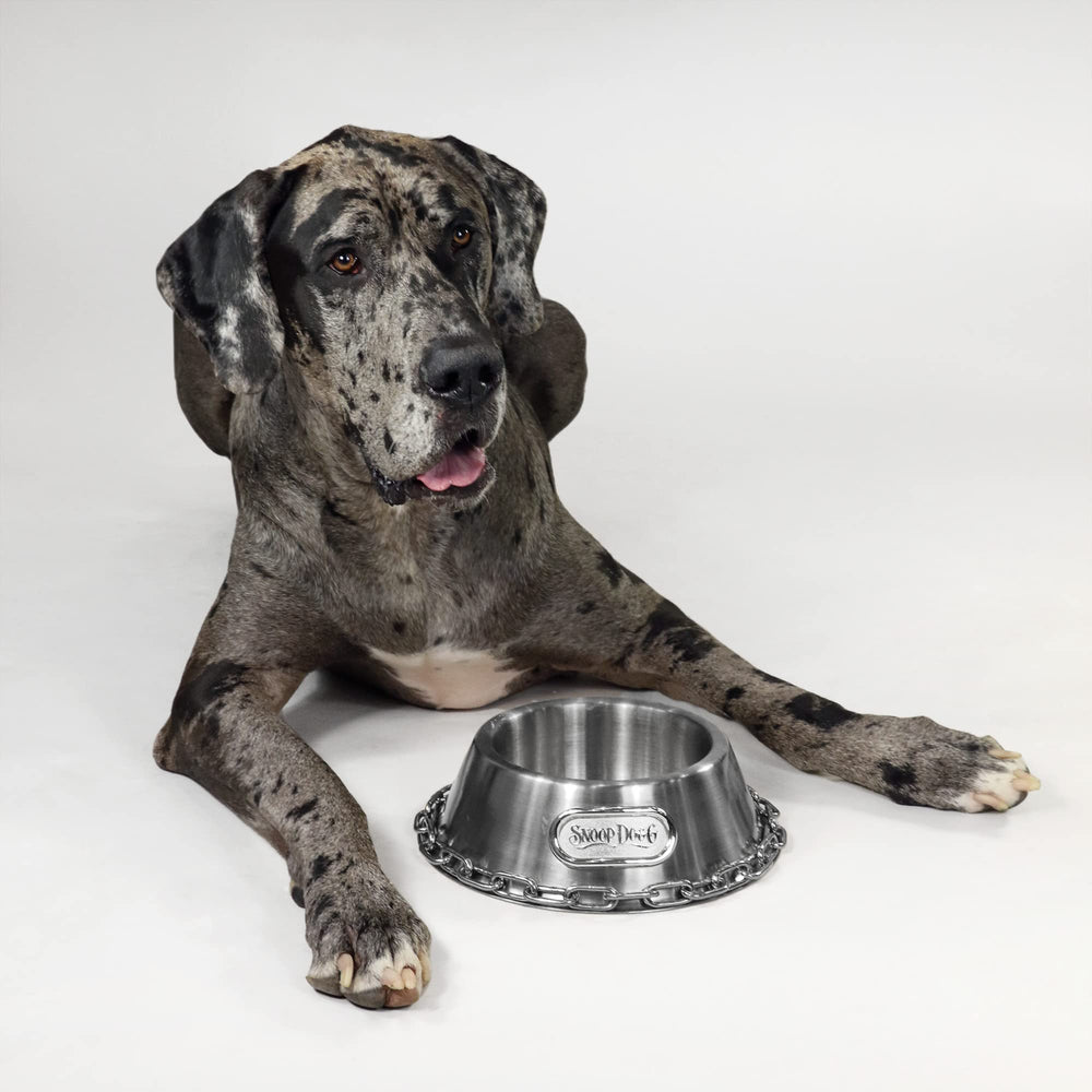 Snoop Doggie Doggs bowl used for kibble to treats shows versatile pet dining.