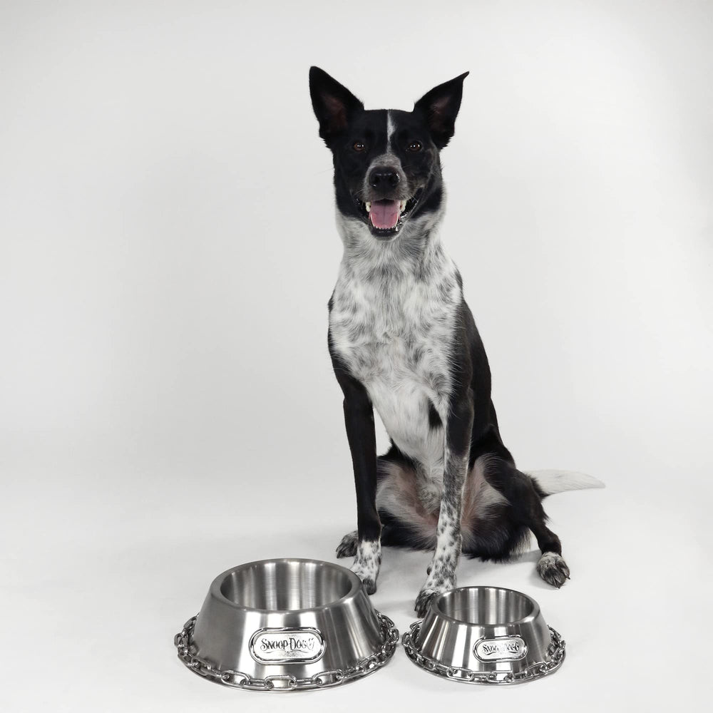 Snoop Doggie Doggs polished stainless small bowl demonstrates kitchen-friendly design.