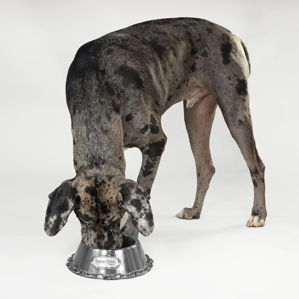 Snoop Doggie Doggs small bowl dimensions 8 by 2.75 inches for compact spaces.