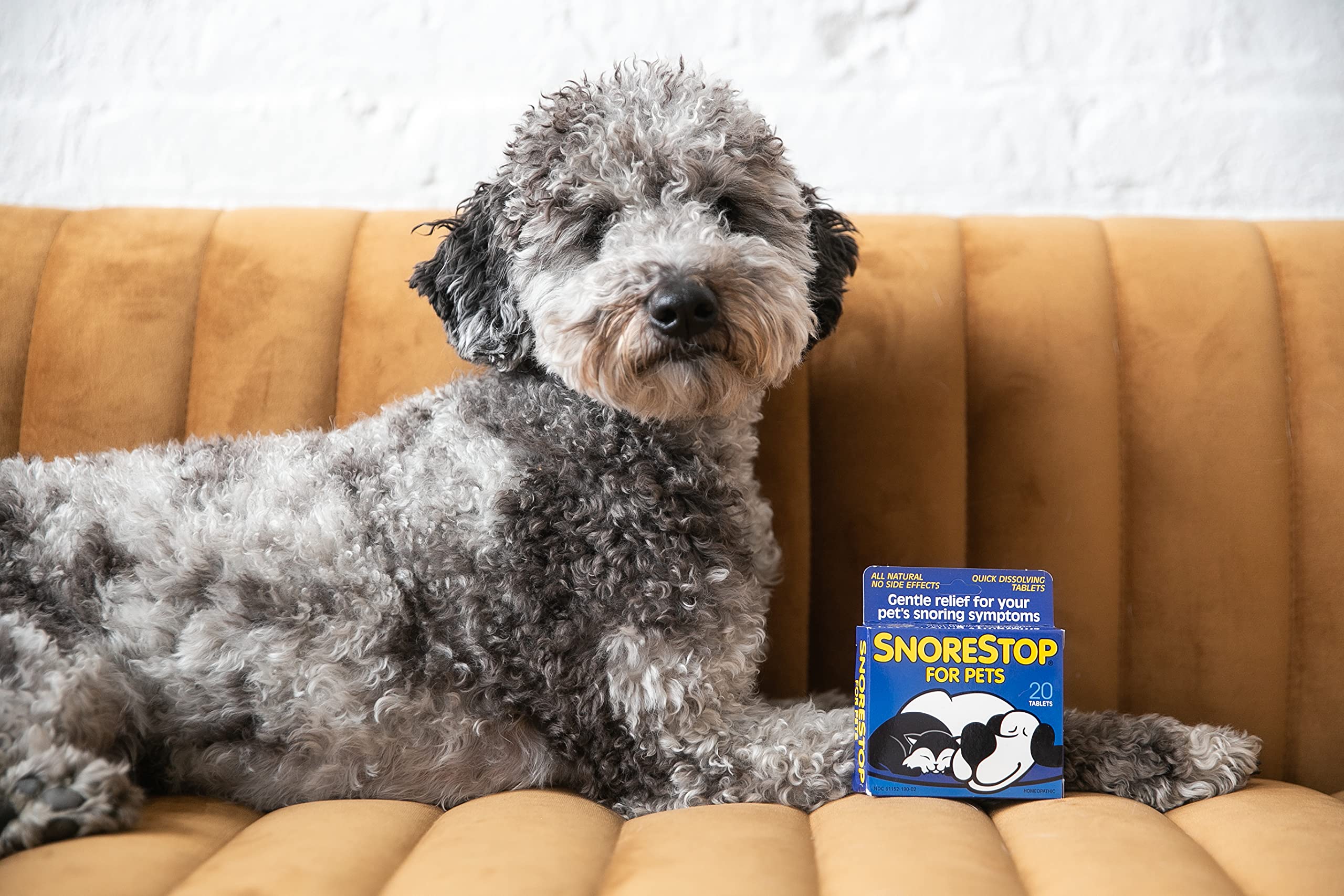 SnoreStop for Pets supports relaxed breathing in cats during sleep.