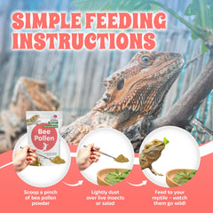 Snout and Shell bee pollen powder on leafy greens enhances flavor and intake.