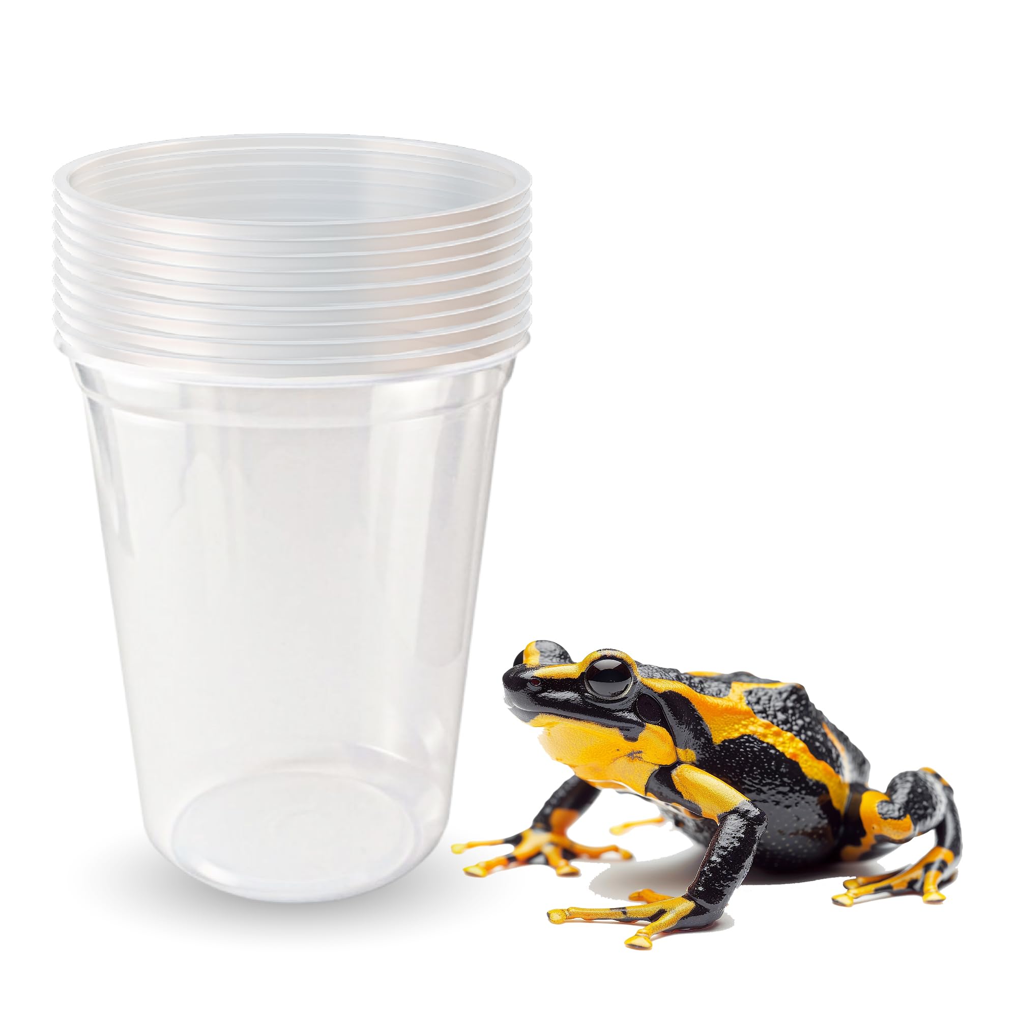 Snout and Shell deli cups 10-pack demonstrating durable design for ongoing use.